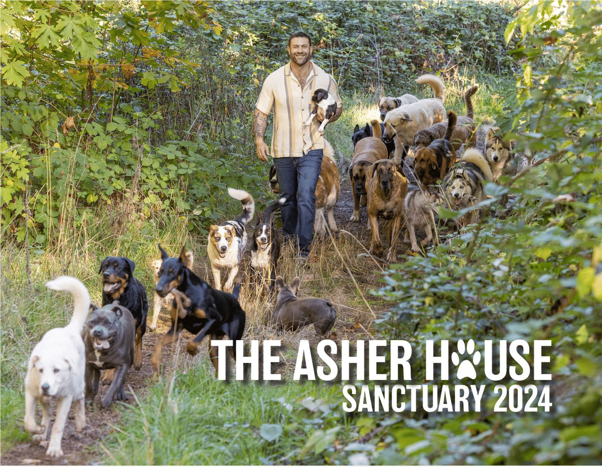 GREAT DEAL The Asher House 2024 Calendars