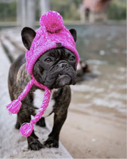 NEW! Pet Beanie