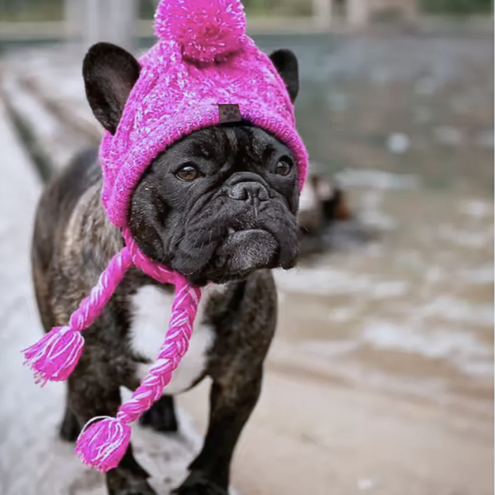 NEW! Pet Beanie