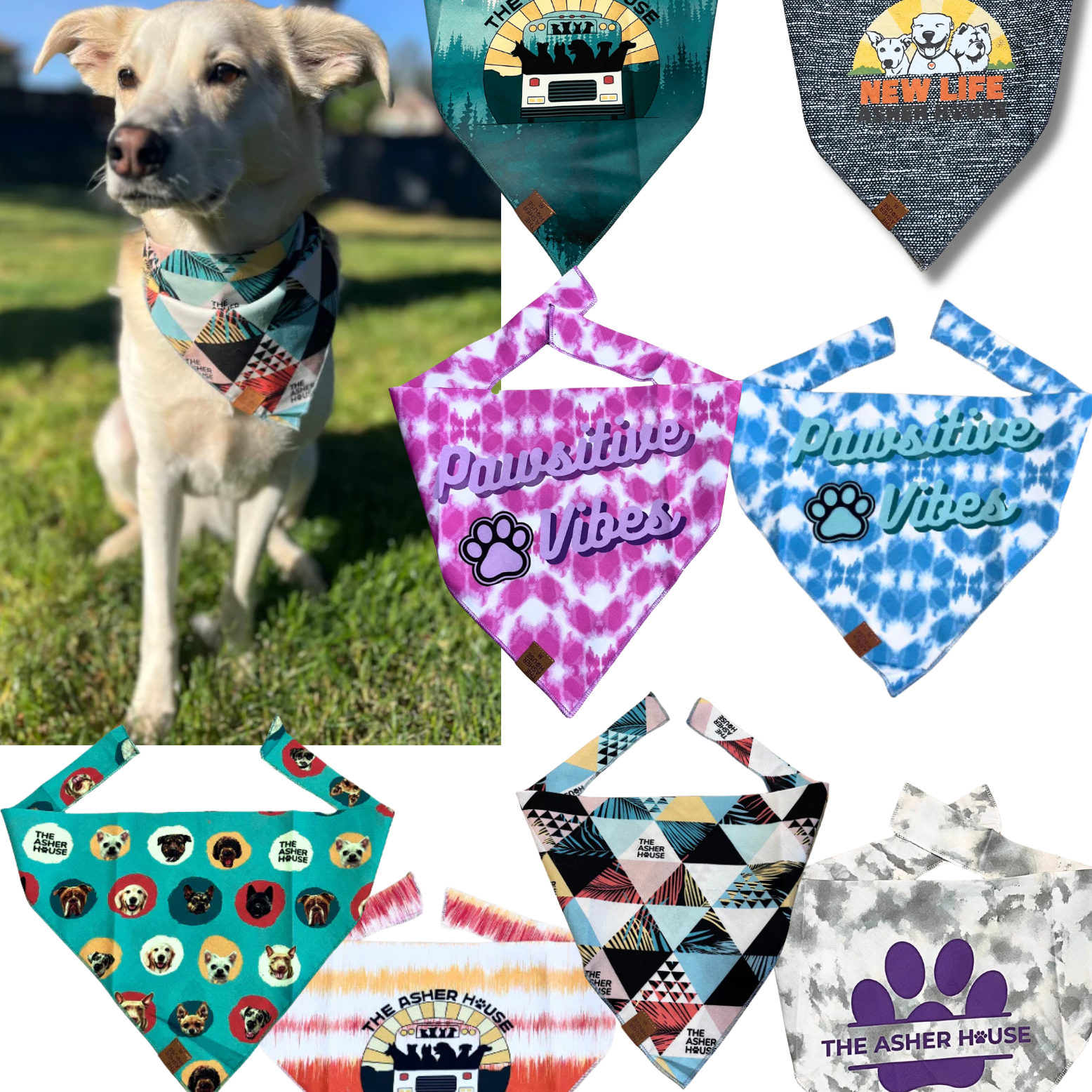 Pet Bandana