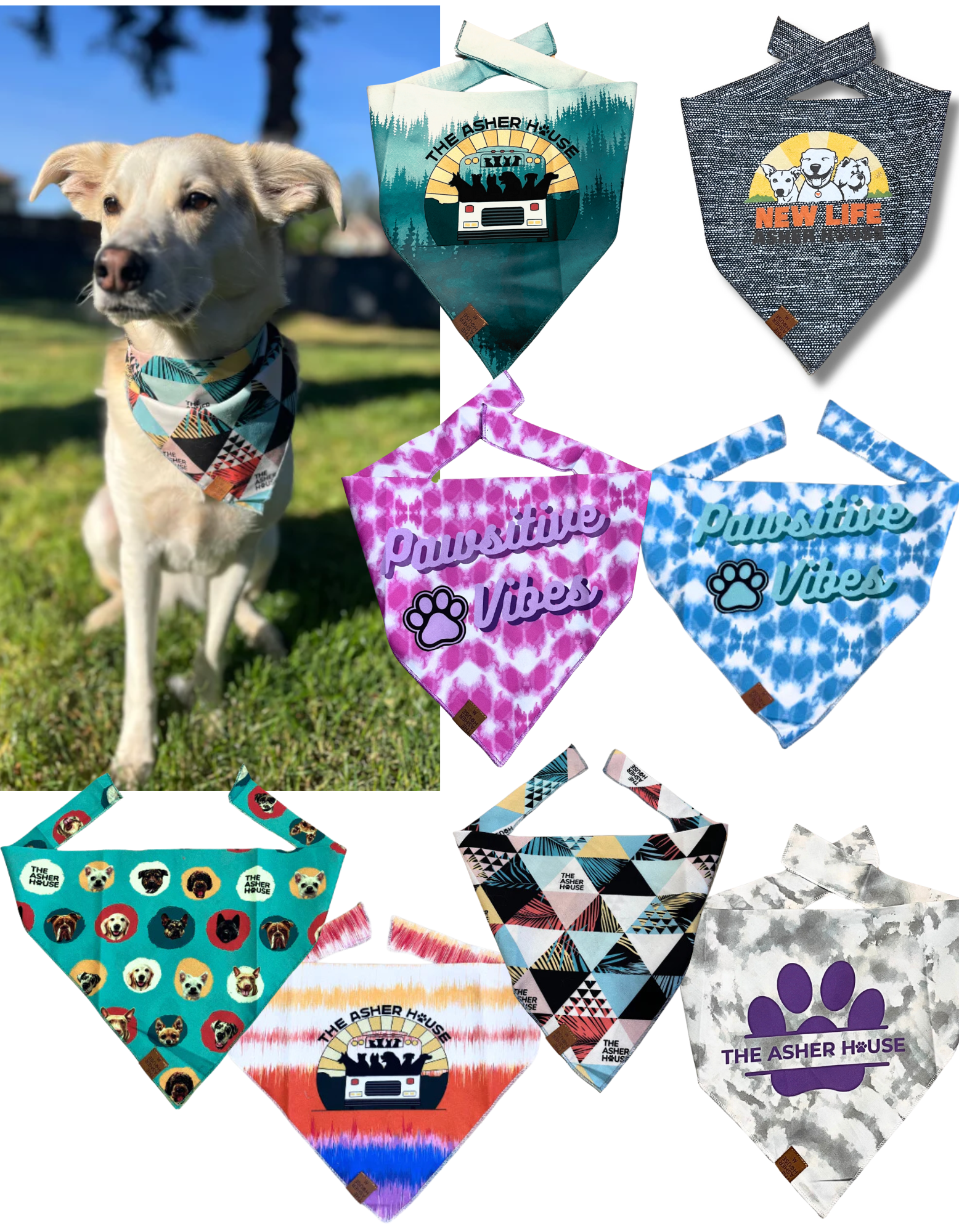 Pet Bandana