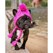 NEW! Pet Beanie