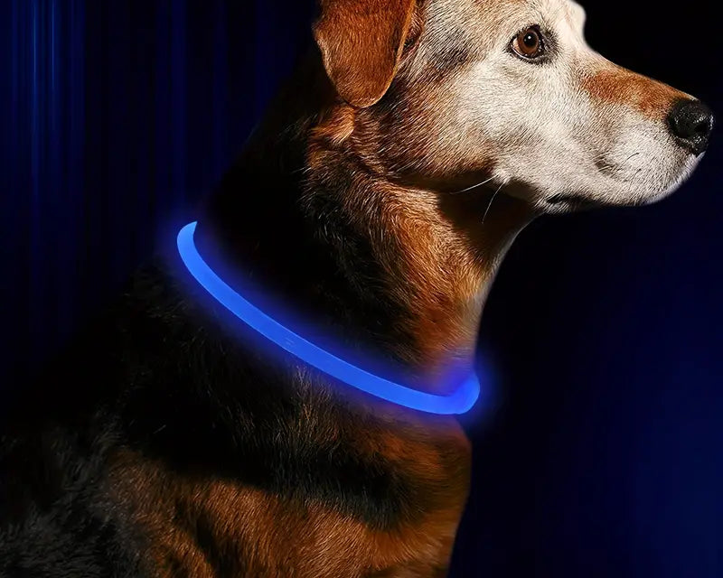 New! Rechargeable LED Dog Collar