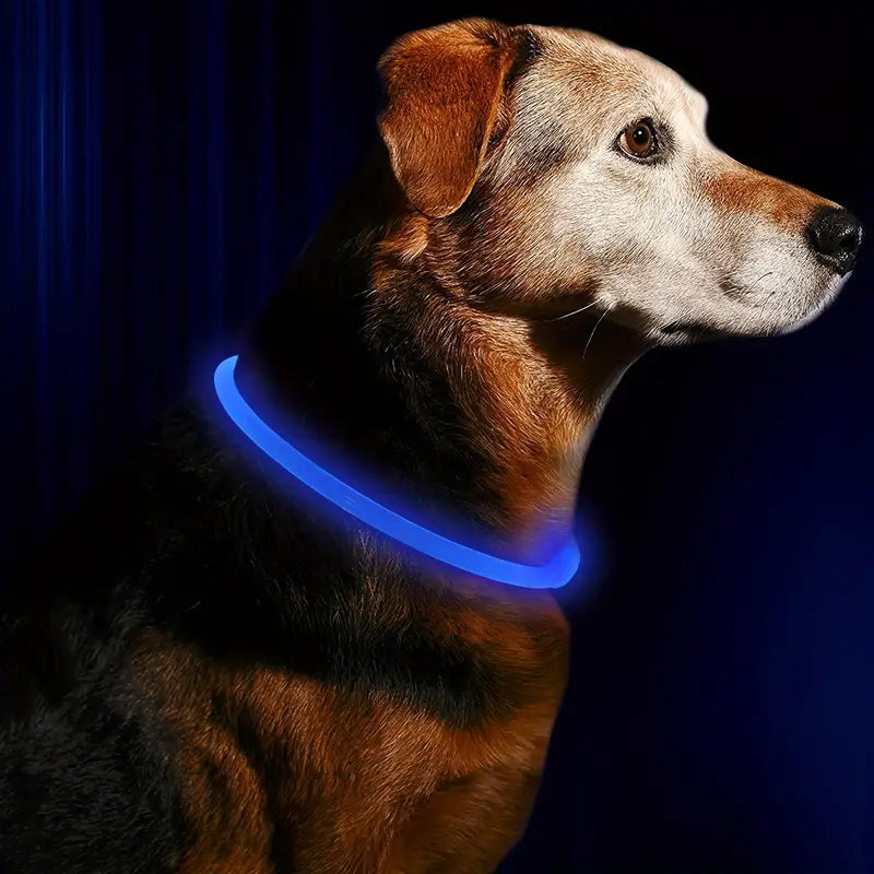 New! Rechargeable LED Dog Collar