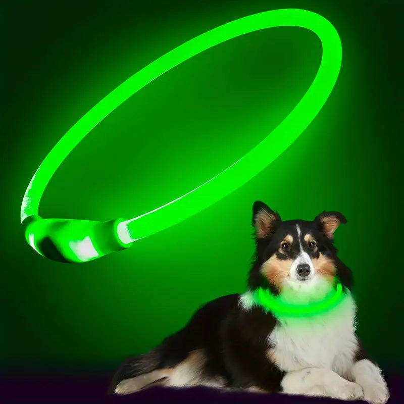 New! Rechargeable LED Dog Collar