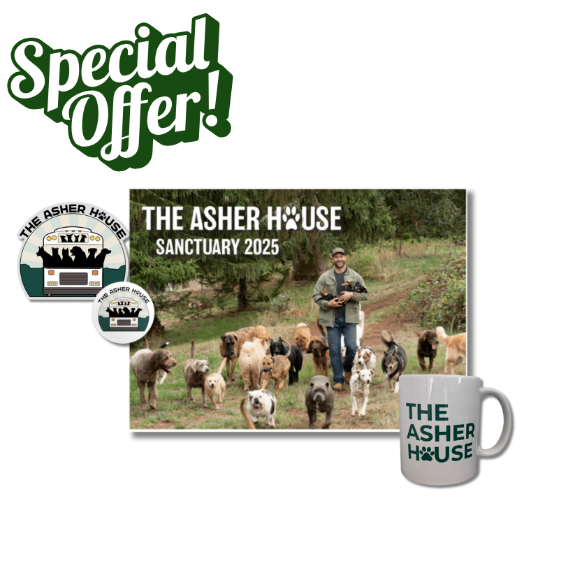 Calendar, Mug, Window Sticker, & Pin Bundle The Asher House