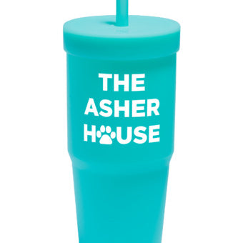 AsherhouseAquawwhite.jpg