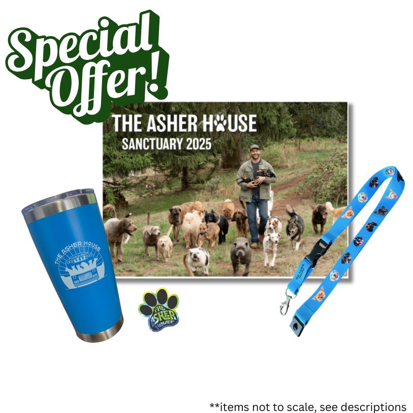 Calendar, Tumbler, Sticker, Lanyard Blues Bundle