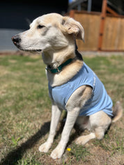 Matching Tank Tops-Blue