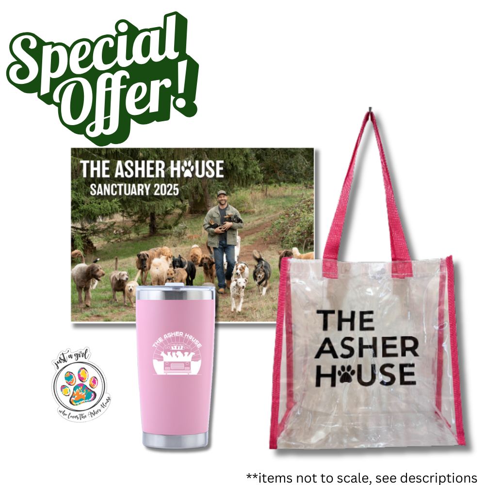 On-The-Go Pink Calendar, Tumbler, Tote, Sticker Bundle