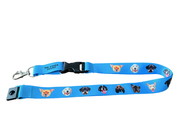 Lanyard