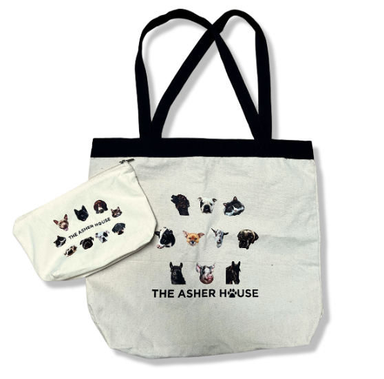 Canvas Tote and Bag Set