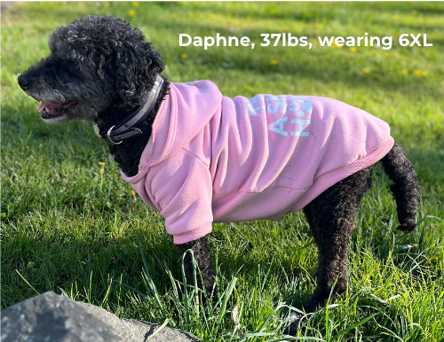 Dog jumpers perth best sale