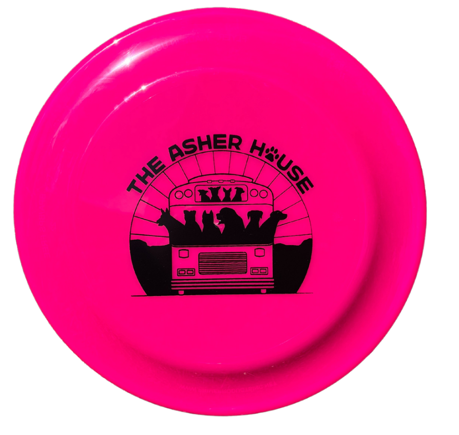 Frisbee