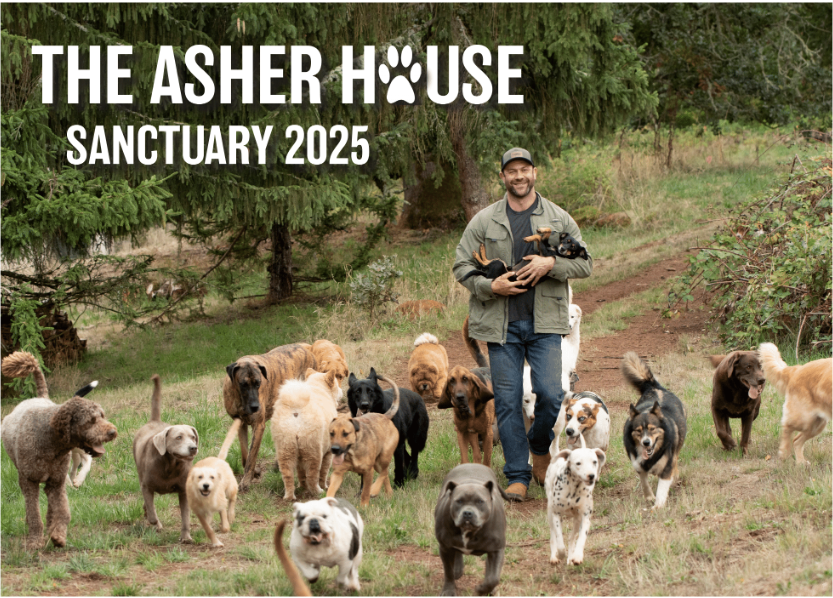 NEW! 2025 Calendars The Asher House