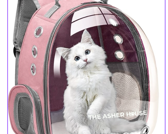 Pet Carrier Backpack