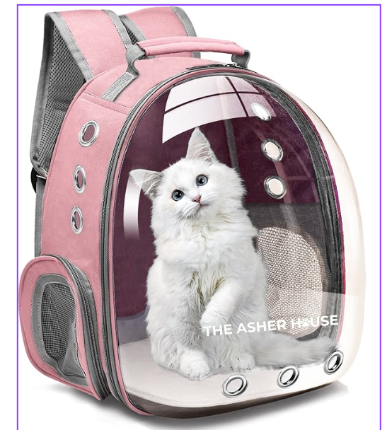 Pet Carrier Backpack