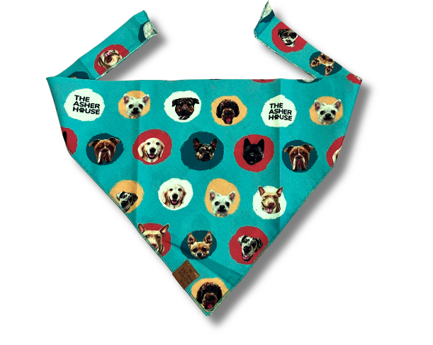 Pet Bandana