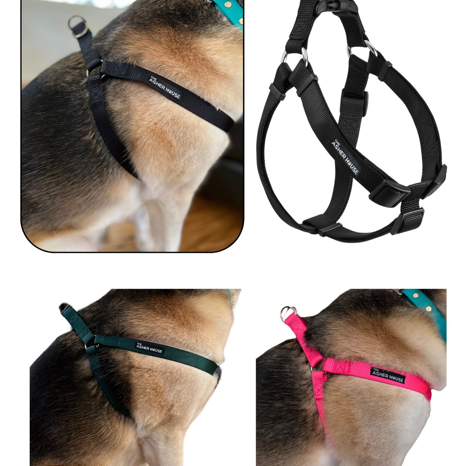 NEW! Dog Harness