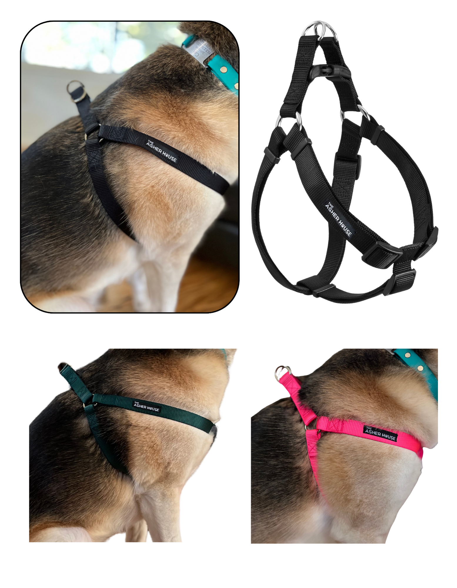 NEW! Dog Harness