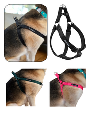 NEW! Dog Harness