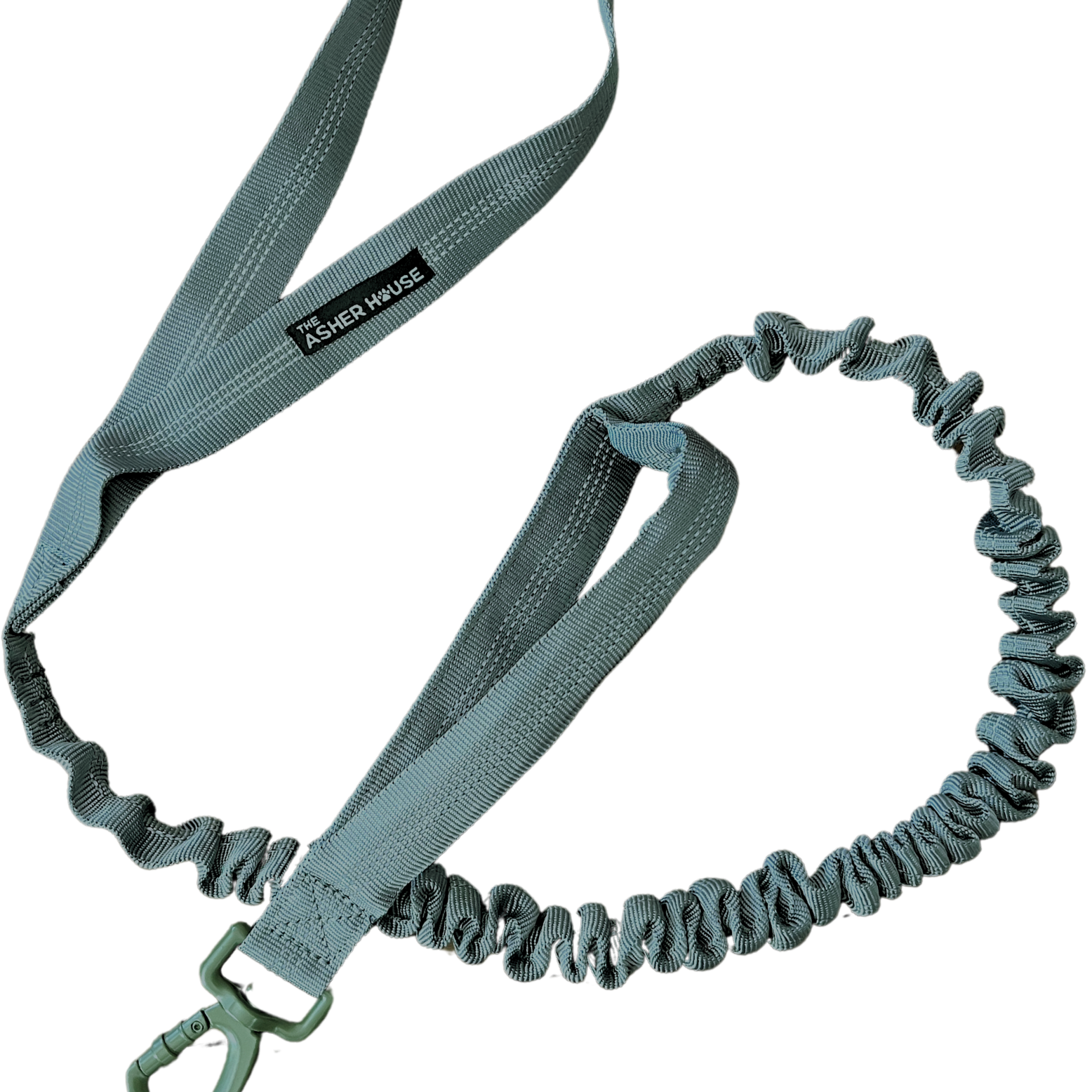 NEW! Bungee Dog Leash