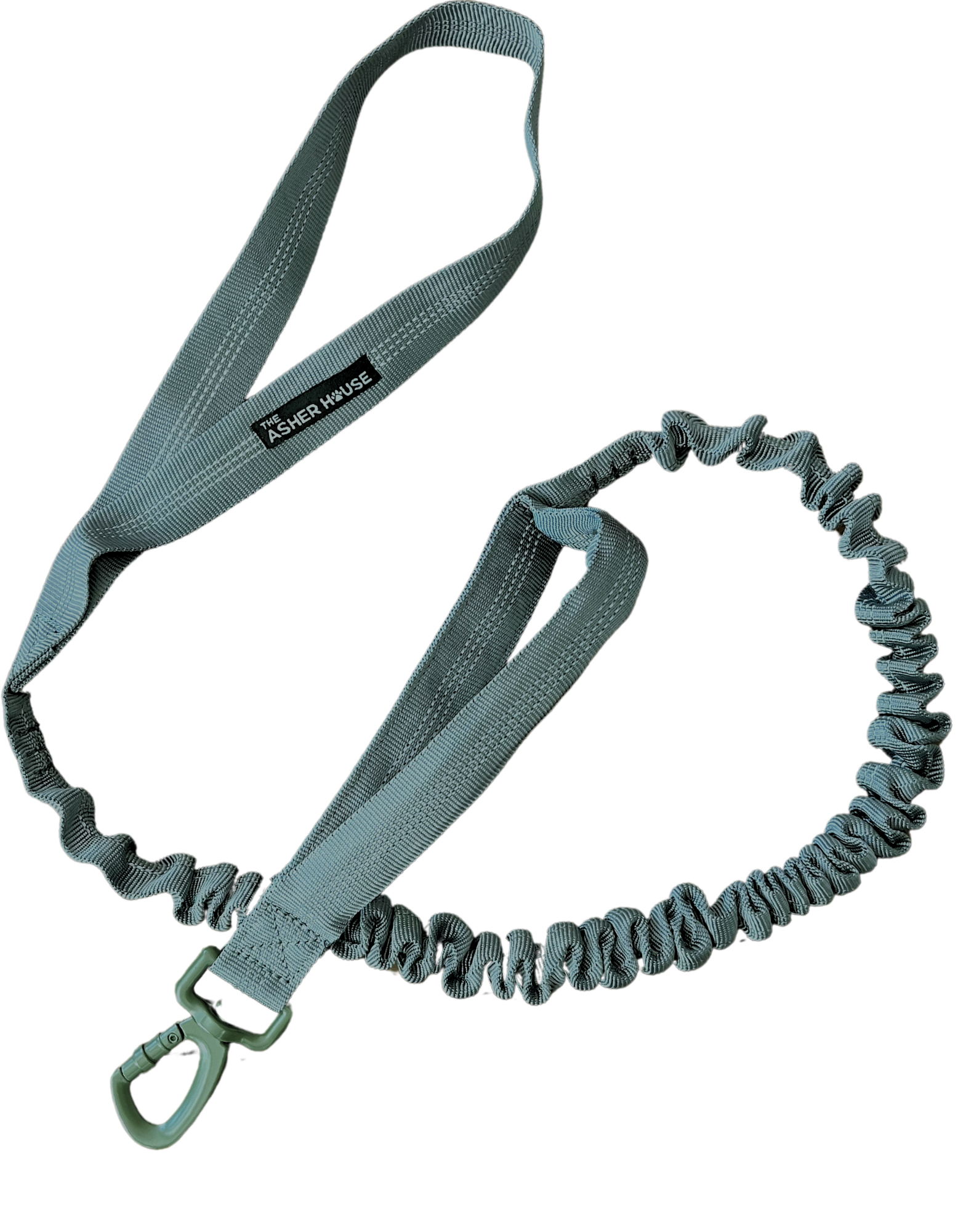 NEW! Bungee Dog Leash