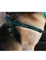 NEW! Dog Harness