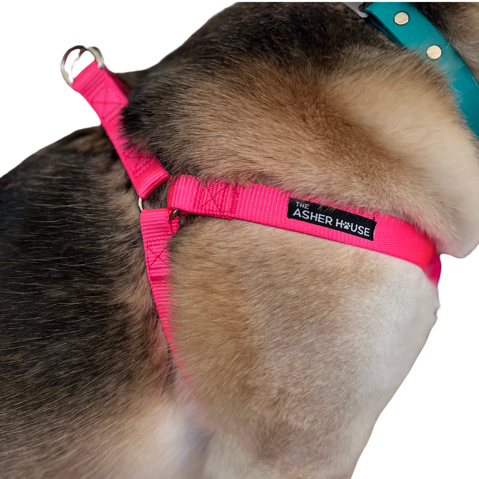 NEW! Dog Harness