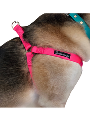 NEW! Dog Harness