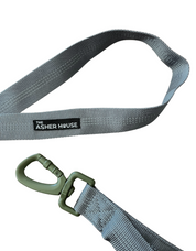 NEW! Bungee Dog Leash