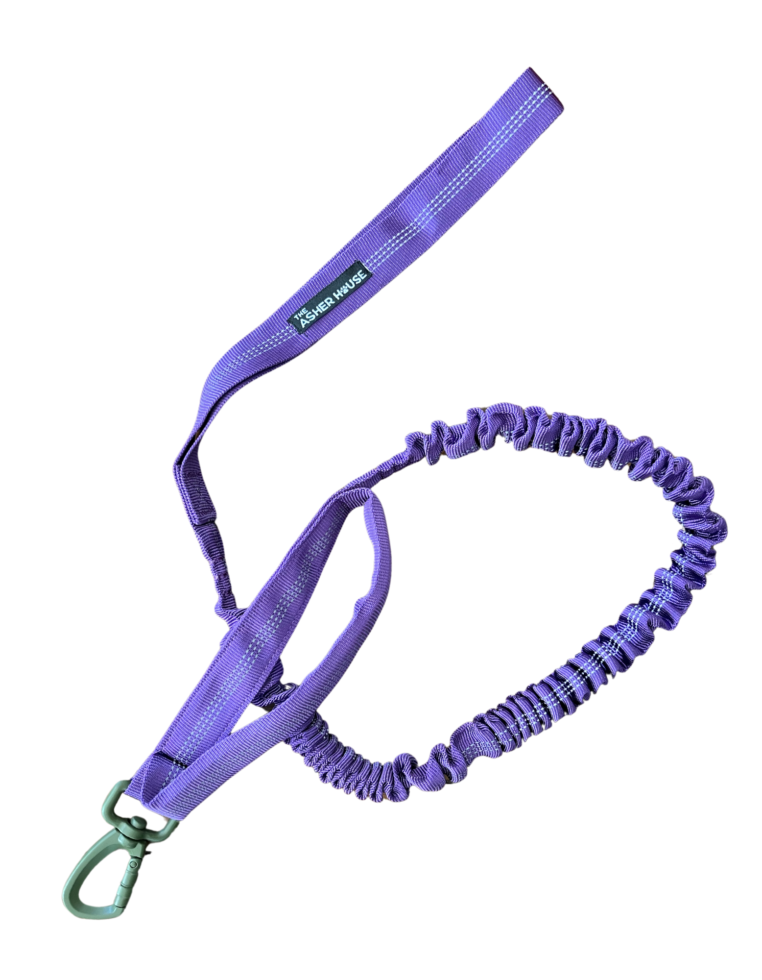 NEW! Bungee Dog Leash