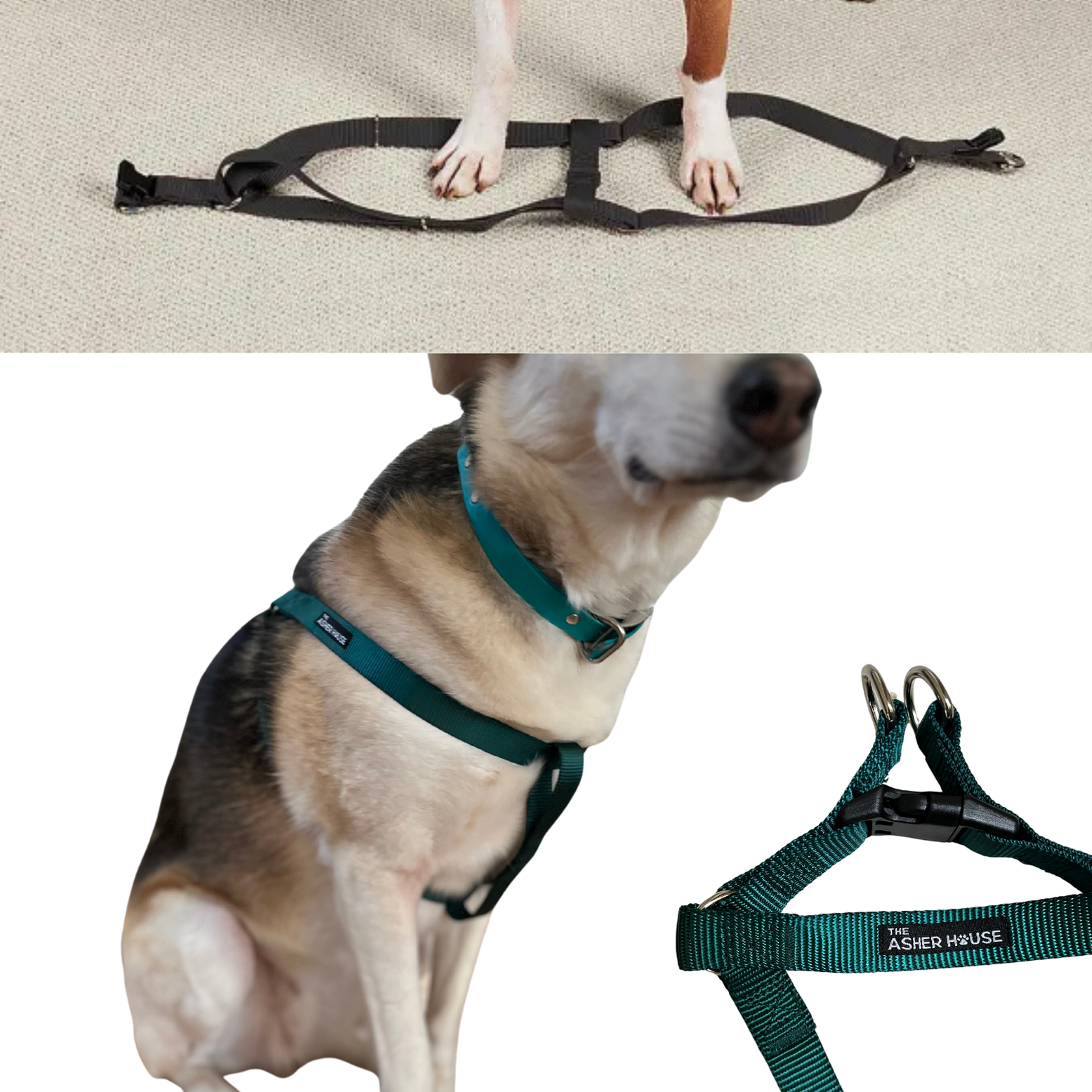 NEW! Dog Harness