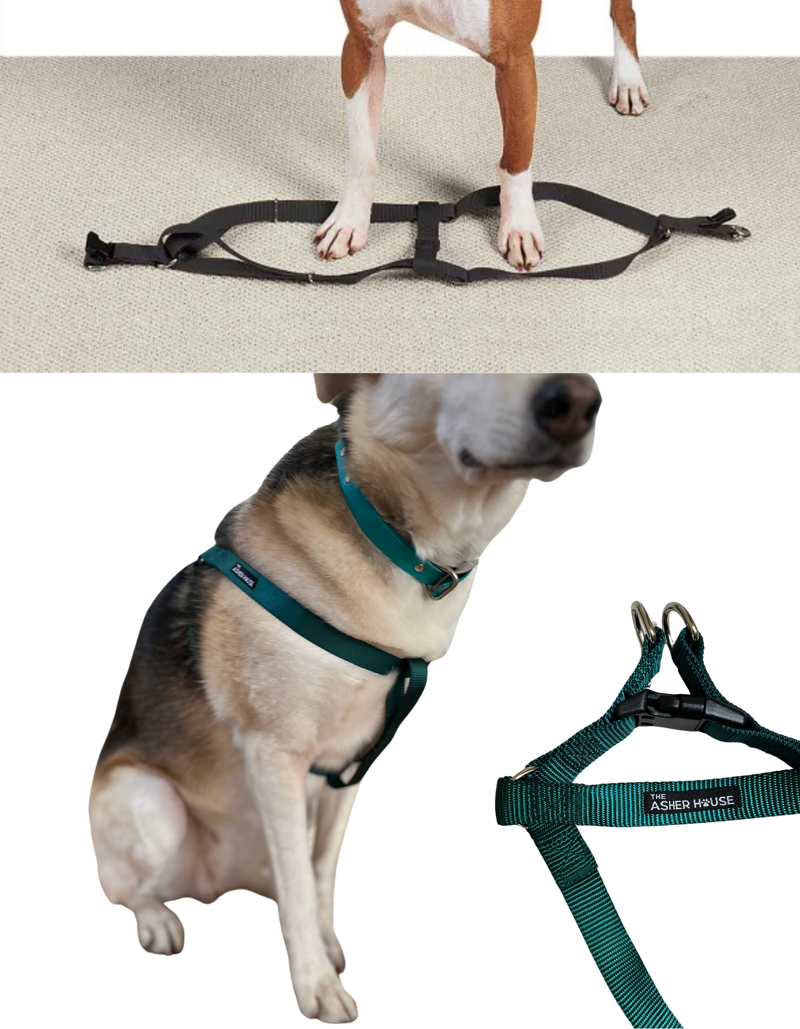 NEW! Dog Harness